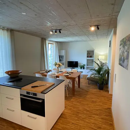 Gruener Ausblick Apartment Elzach