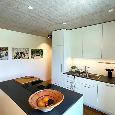 Gruener Ausblick אלזאך